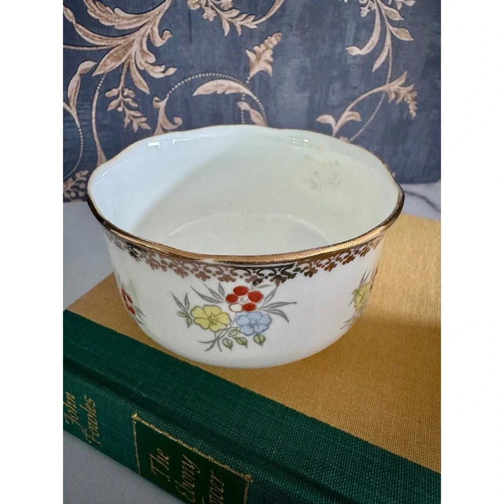 Salisbury Crown China vintage salisbury